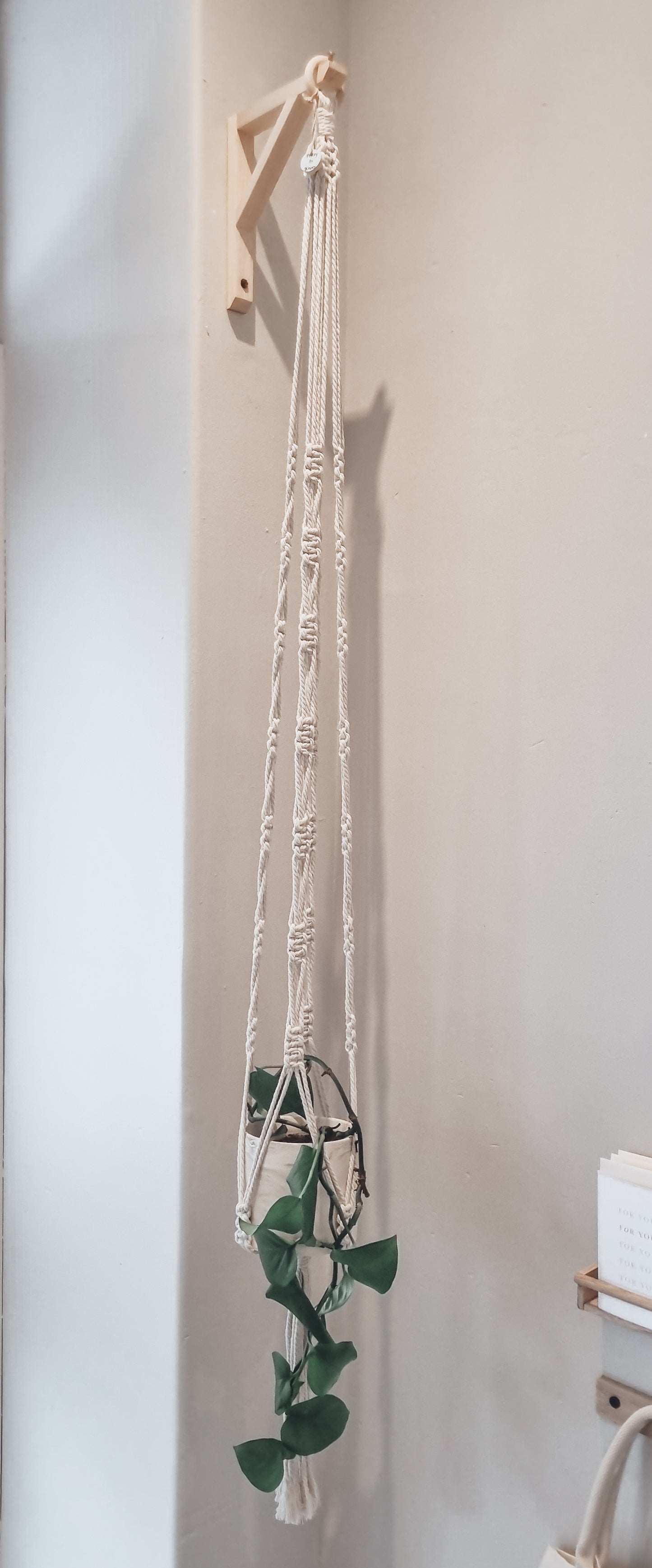 Macrame Plant hanger 1.6m