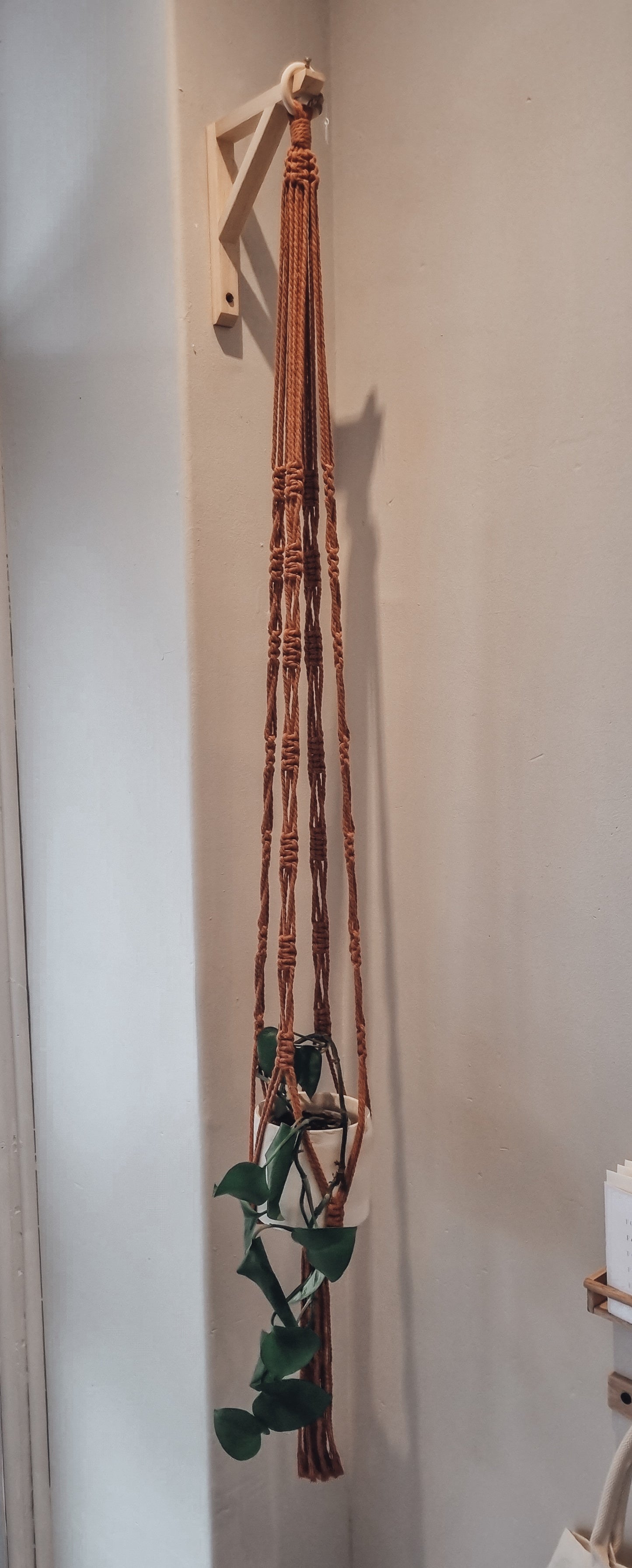 Macrame Plant hanger 1.6m