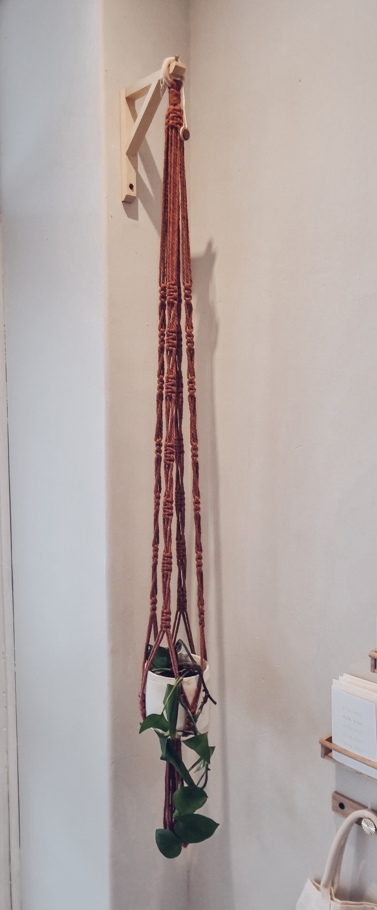 Macrame Plant hanger 1.6m