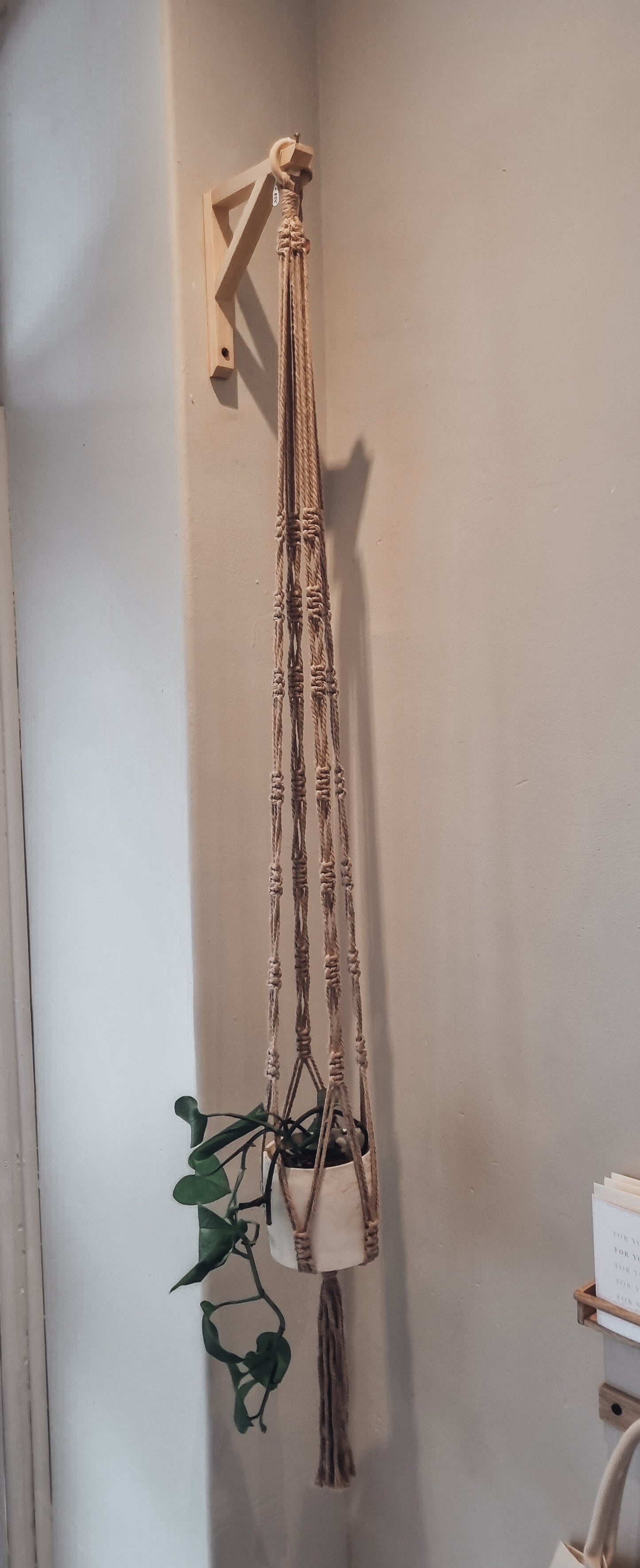 Macrame Plant hanger 1.6m
