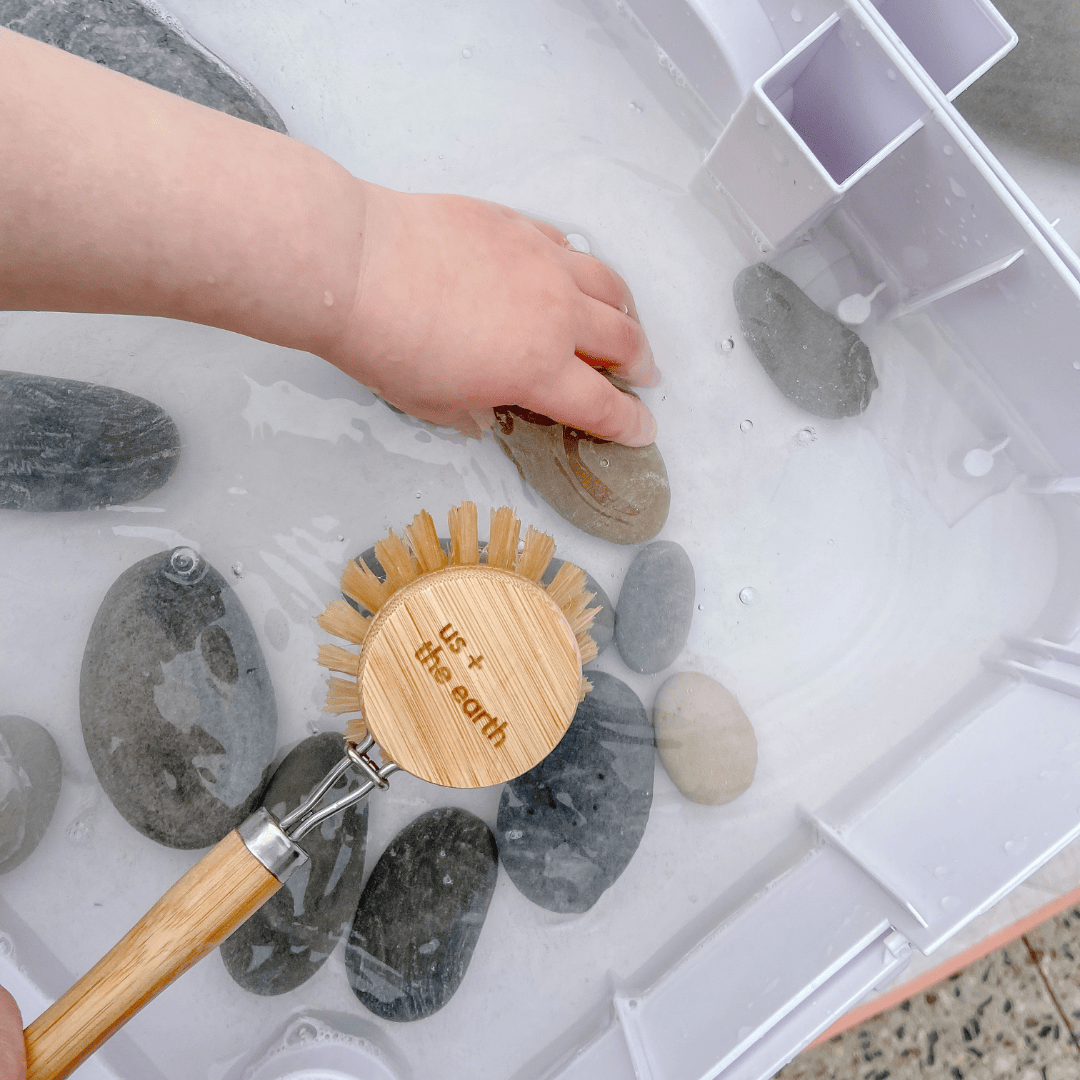 Natural Fibre Dishwashing Brush with replaceable head