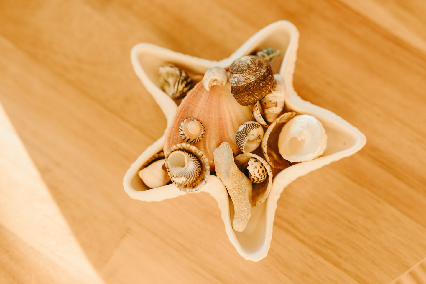 Starfish Trinket bowl
